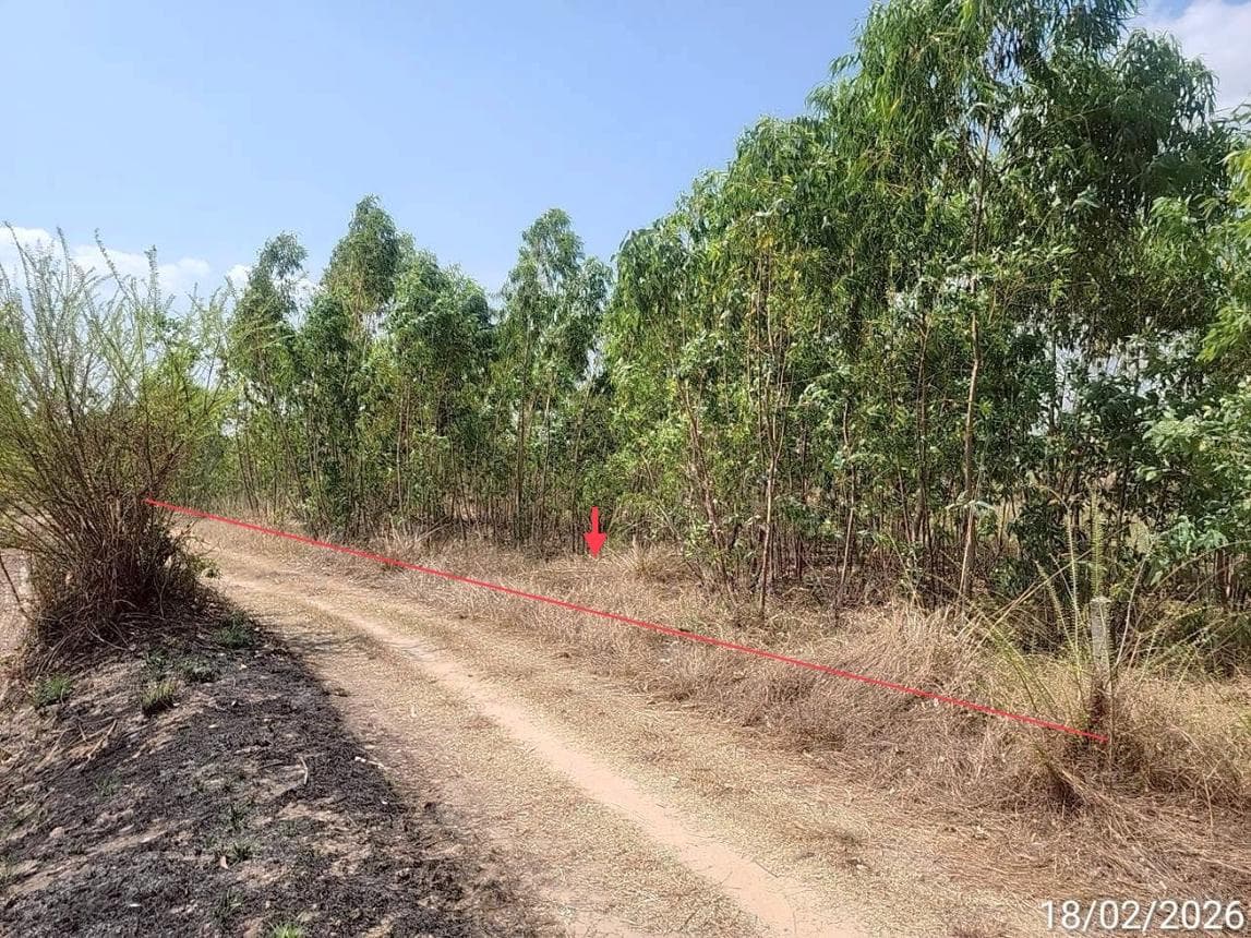 ขายที่ดินเปล่า สุวรรณภูมิ ร้อยเอ็ด ทำเลจำปาขัน เนื้อที่ 81 ตร.ว. สภาพดี เหมาะสำหรับสร้างบ้านพักอาศัยหรือทำการเกษตร