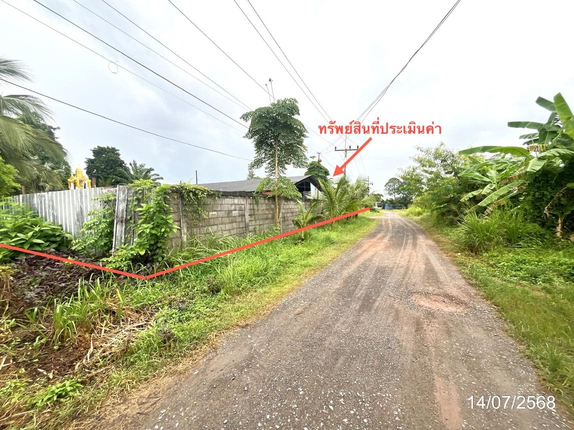 อาคารโรงงานทำเลทอง วัดประดู่ เมืองสุราษฎร์ธานี พื้นที่กว้างขวาง รองรับธุรกิจโลจิสติกส์