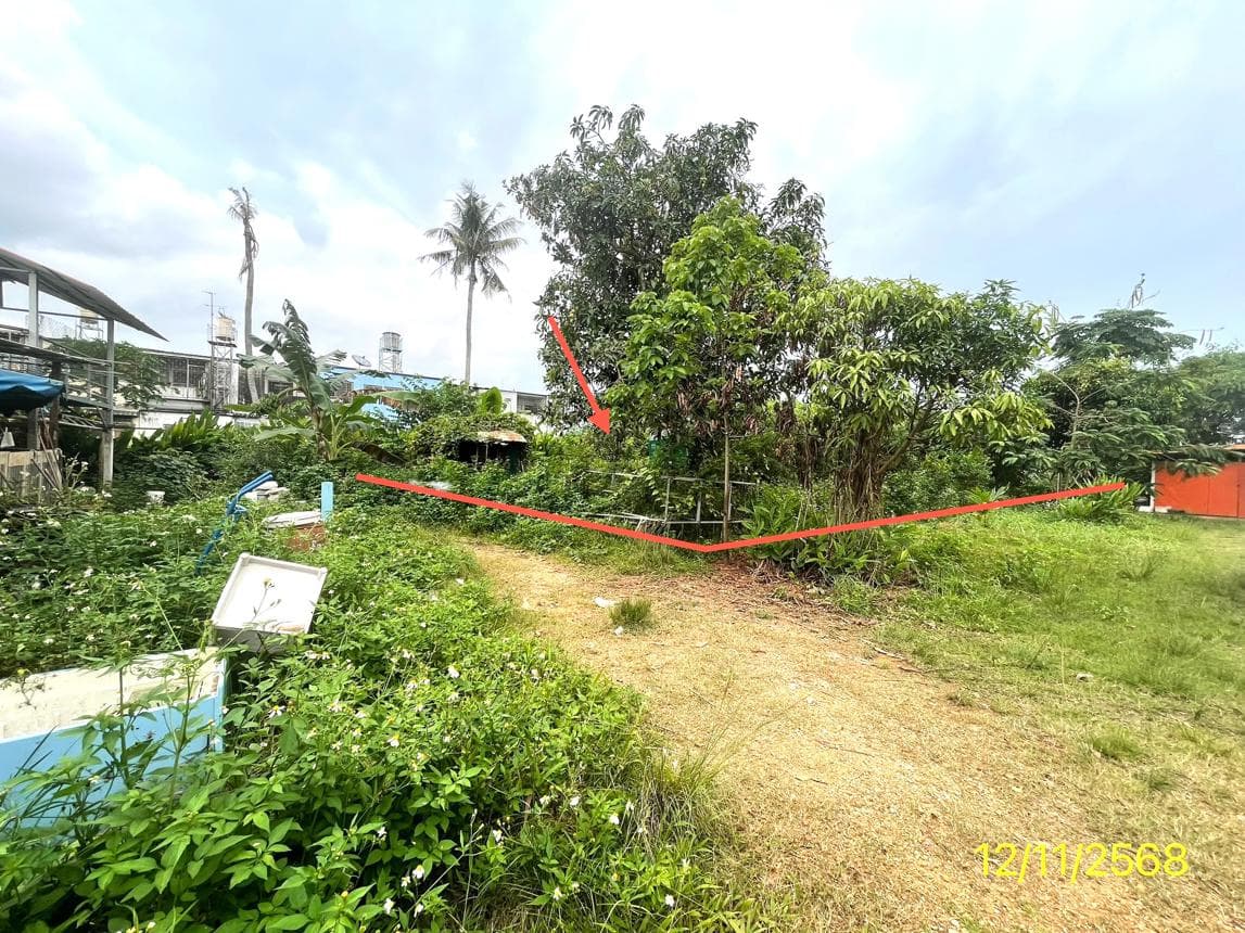 ขายที่ดินเปล่า หาดใหญ่ สงขลา ทำเลคลองแห เนื้อที่ 78.3 ตร.ว. เหมาะสำหรับสร้างที่อยู่อาศัยและลงทุน