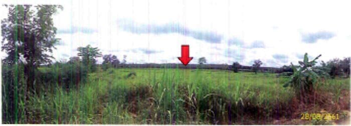 ที่ดินเปล่า บ้านม่วง สกลนคร