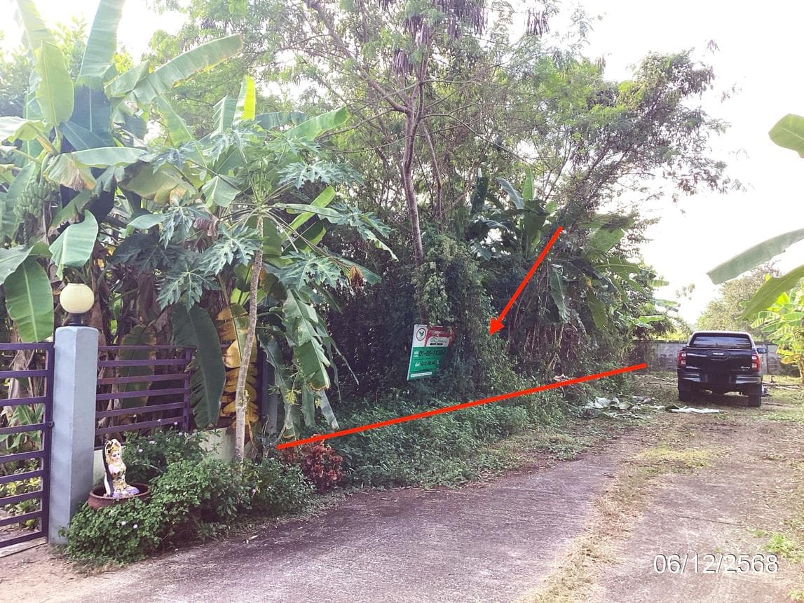ขายที่ดินเปล่าผืนสวยเนื้อที่ 80.4 ตร.ว. ในโครงการกาญจน์สิริพบโชค ทำเลดีเดินทางสะดวก ย่านดงมะดะ แม่ลาว เชียงราย บรรยากาศร่มรื่นเหมาะสร้างบ้านพักอาศัย