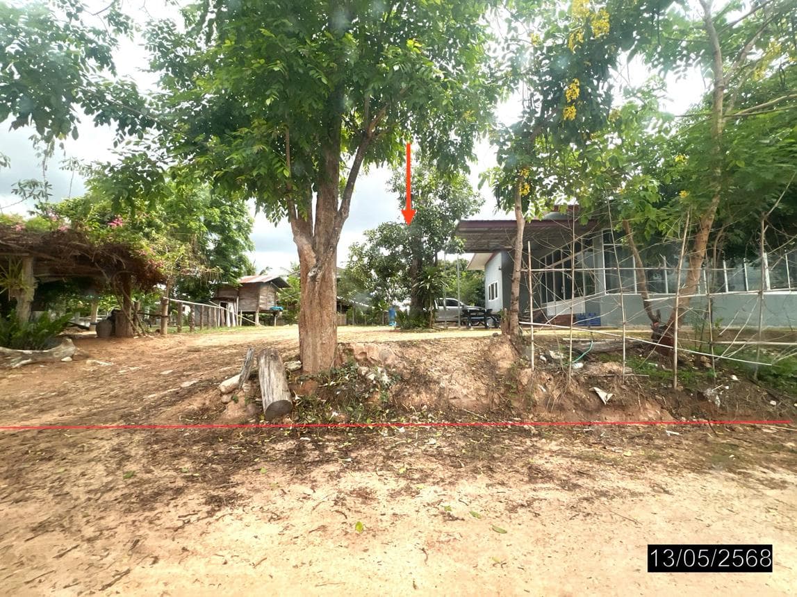 บ้านเดี่ยว หัวนา เขมราฐ อุบลราชธานี 3 ห้องนอน 2 ห้องน้ำ พื้นที่กว้างขวาง 209 ตร.ม. ทำเลสงบราคา 2 ล้านต้นๆ