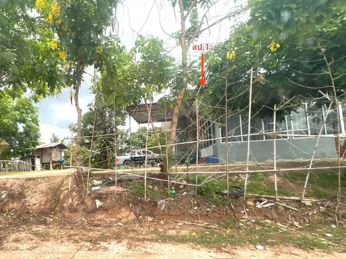 บ้านเดี่ยว หัวนา เขมราฐ อุบลราชธานี 3 ห้องนอน 2 ห้องน้ำ พื้นที่กว้างขวาง 209 ตร.ม. ทำเลสงบราคา 2 ล้านต้นๆ