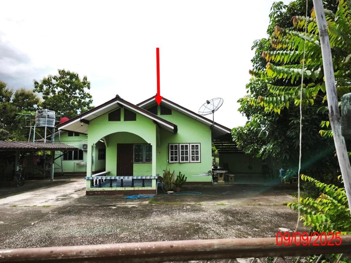 บ้านเดี่ยว ปงแสนทอง เมืองลำปาง ลำปาง 2 ห้องนอน 3 ห้องน้ำ พื้นที่ใช้สอย 123.9 ตร.ม. บนเนื้อที่กว้างขวาง 2 ไร่ ทำเลดีบรรยากาศร่มรื่น เดินทางสะดวก ราคาพิเศษ 2.52 ล้าน