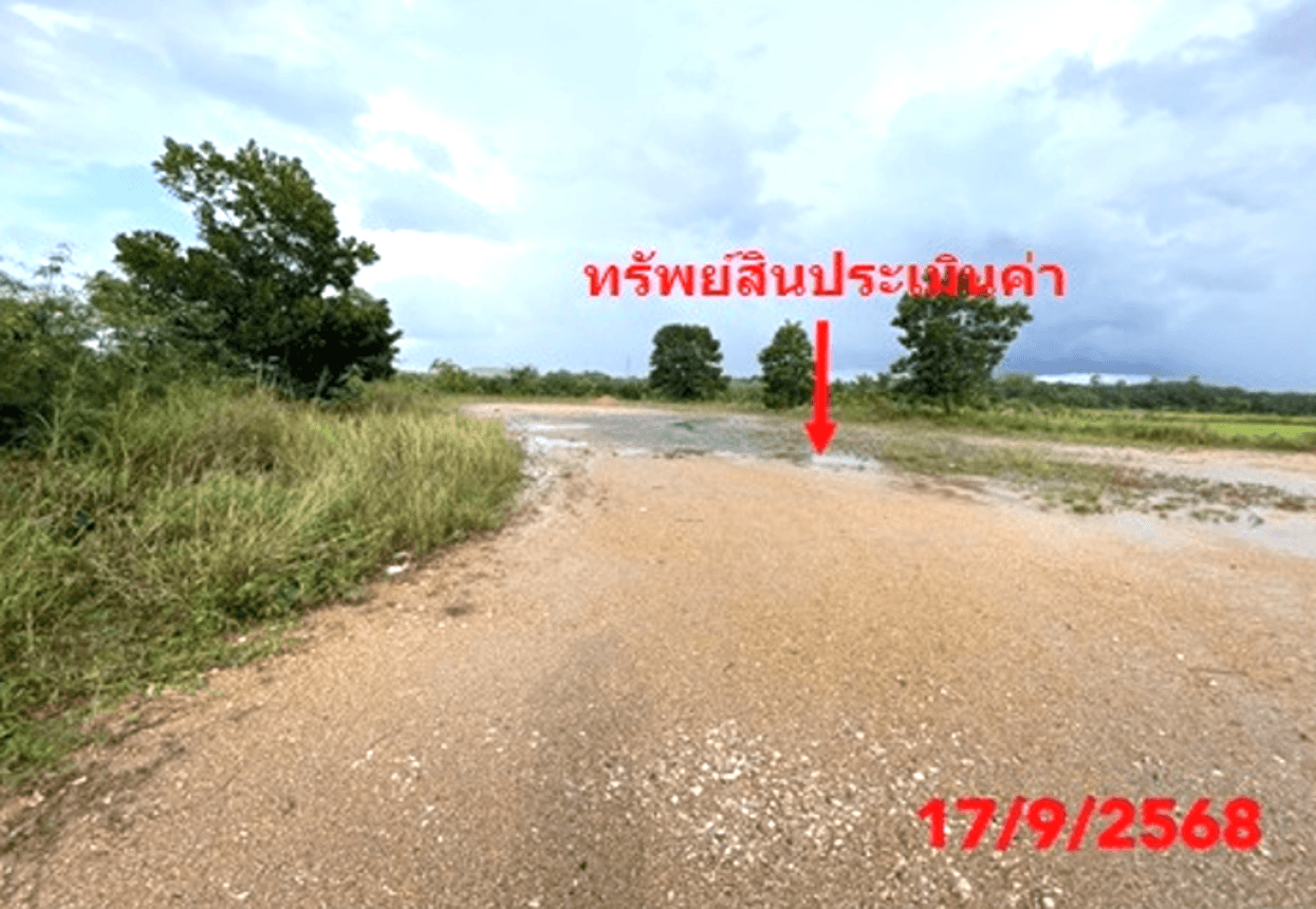บ้านเดี่ยวหลังใหญ่ รัตภูมิ สงขลา พื้นที่กว้างขวาง 256 ตร.ม. บนที่ดินเกือบ 100 ตร.ว. ทำเลสงบ เป็นส่วนตัว