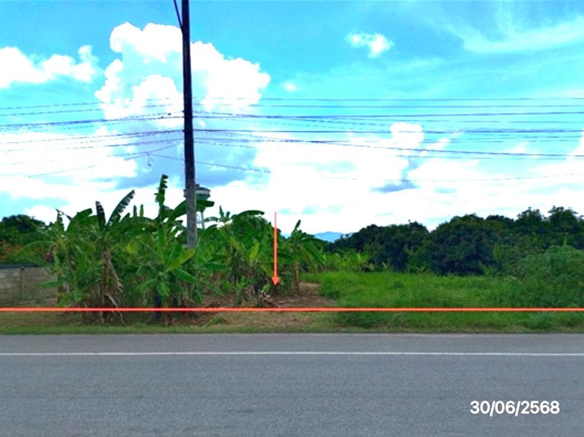 ขายที่ดินเปล่า 93.3 ตร.ว. ต.ป่าตาล อ.ขุนตาล จ.เชียงราย ทำเลดี บรรยากาศร่มรื่น เหมาะแก่การสร้างบ้านพักอาศัยท่ามกลางธรรมชาติ