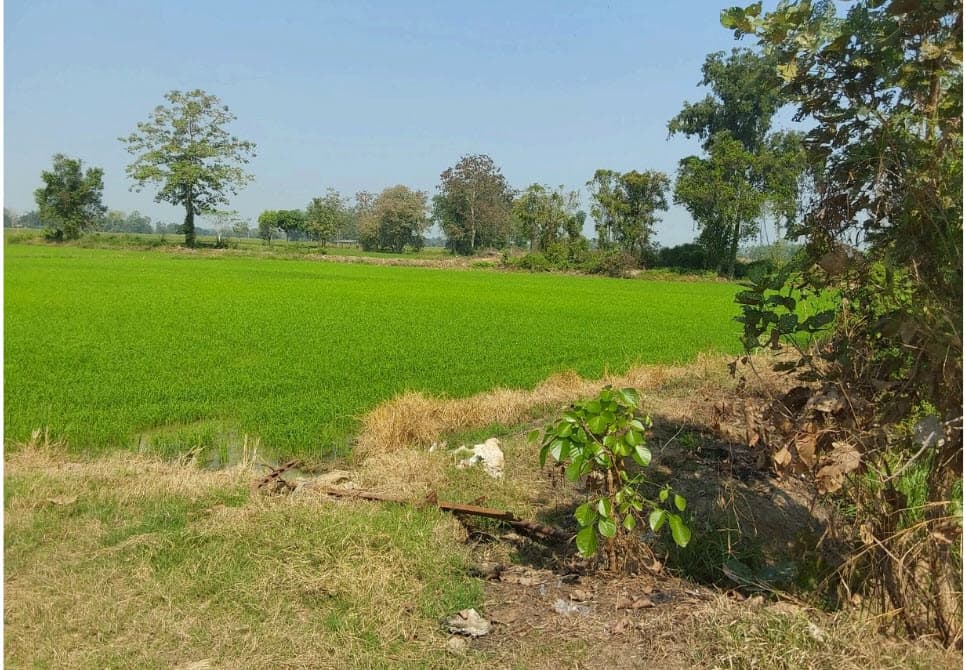 ที่ดินเปล่า สวรรคโลก สุโขทัย