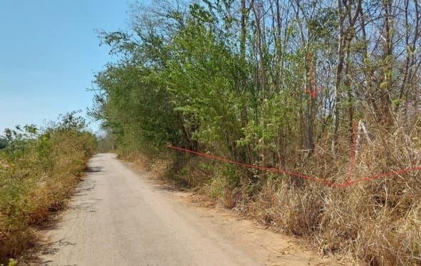 ที่ดินว่างเปล่า ภูพิมาน ปากช่อง-นครราชสีมา