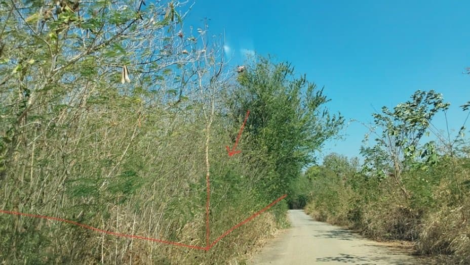 ที่ดินว่างเปล่า ภูพิมาน ปากช่อง-นครราชสีมา