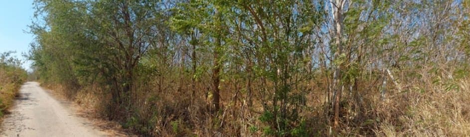 ที่ดินว่างเปล่า ภูพิมาน ปากช่อง-นครราชสีมา