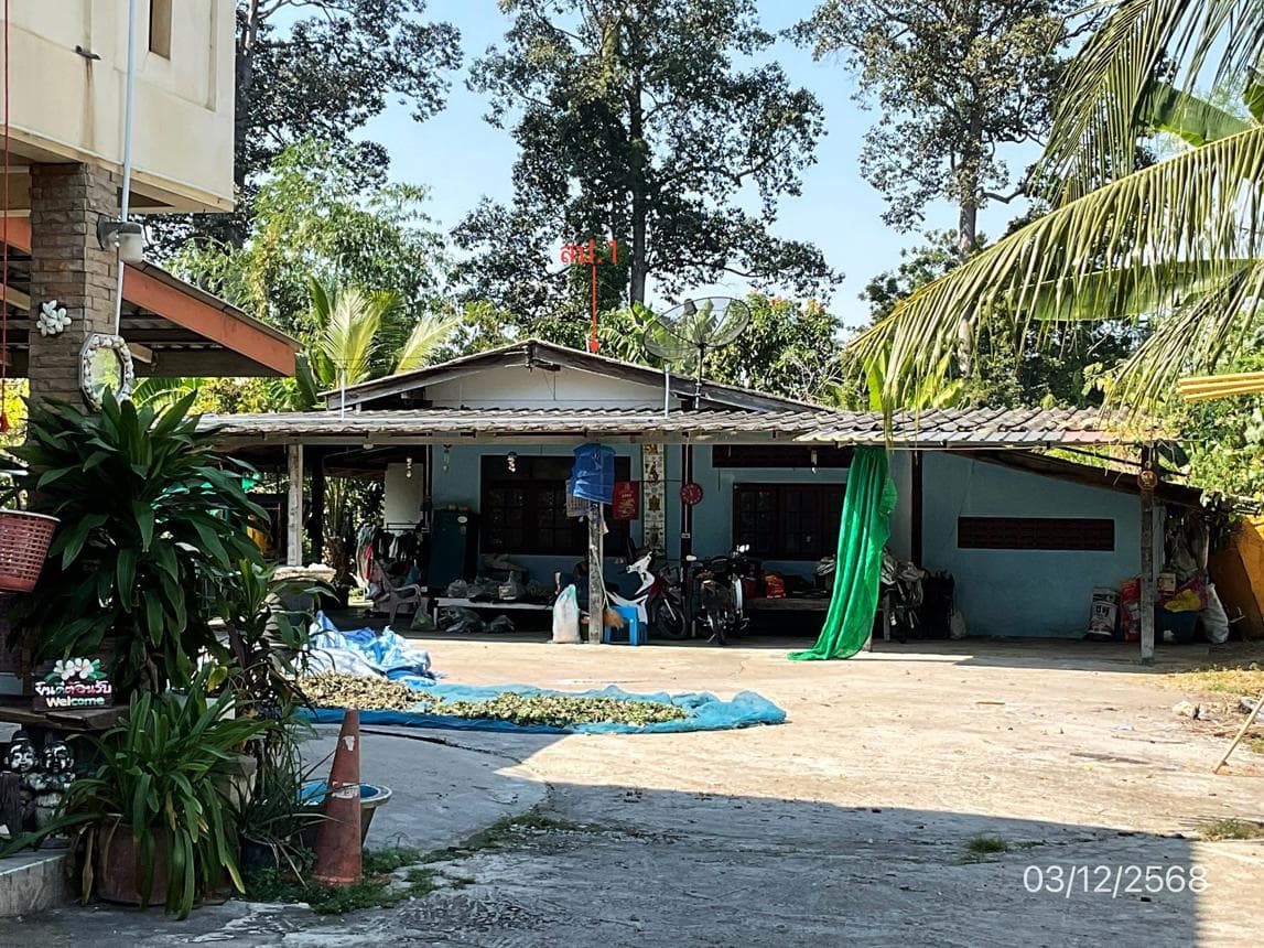 ขายบ้านเดี่ยว บ้านยาง เมืองนครปฐม 1 ห้องนอน พื้นที่ใช้สอย 117 ตร.ม. ทำเลสงบ เดินทางสะดวก