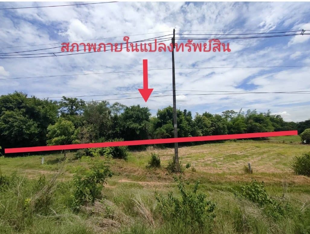 ที่ดินว่างเปล่า บ้านชำแฮด บรบือ-มหาสารคาม