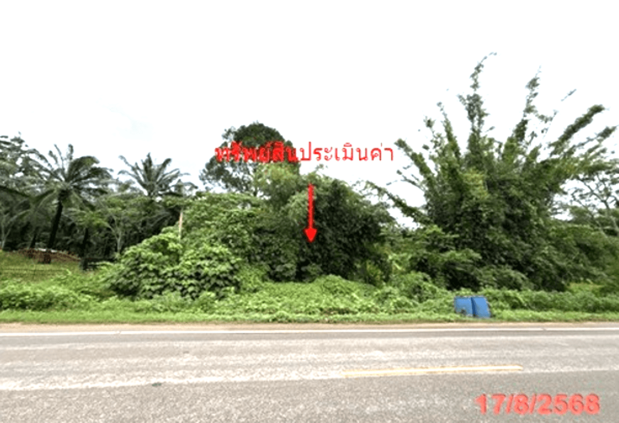 ที่ดินว่างเปล่า ทับปริก เมืองกระบี่ เนื้อที่ 65 ตร.ว. ทำเลสงบ วิวสวยใกล้ชิดธรรมชาติ เหมาะสำหรับสร้างบ้านพักอาศัย ราคาคุ้มค่า