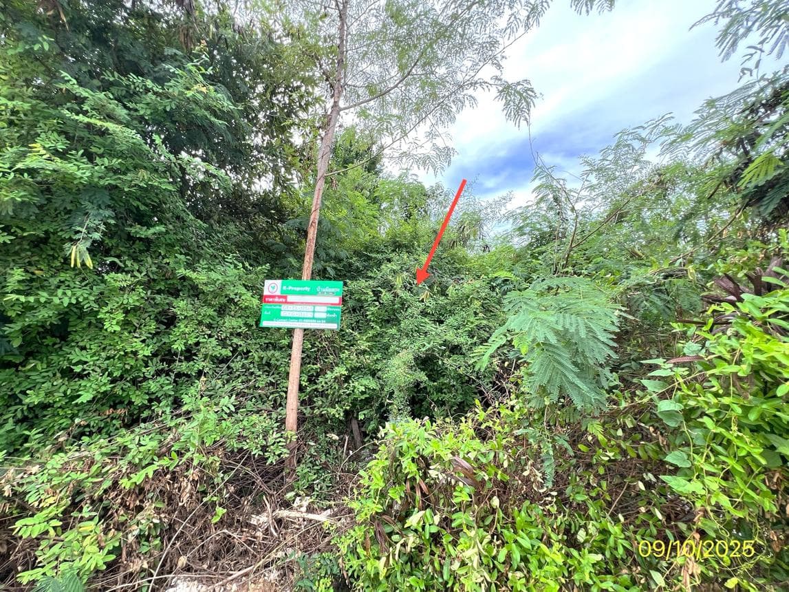 ที่ดินว่างเปล่า เจดีย์หัก เมืองราชบุรี เนื้อที่ 67.6 ตร.ว. ทำเลดีเดินทางสะดวก ใกล้ตัวเมืองและแหล่งชุมชน เหมาะสำหรับสร้างบ้าน ราคาพิเศษ 1.18 ล้าน