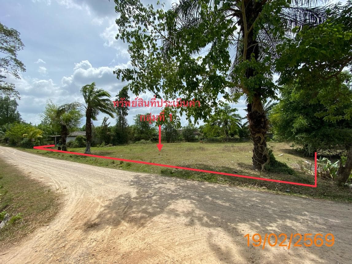 ที่ดินว่างเปล่า เนื้อที่ 47 ตร.ว. ทำเลศักยภาพ เหนือคลอง เหนือคลอง กระบี่
