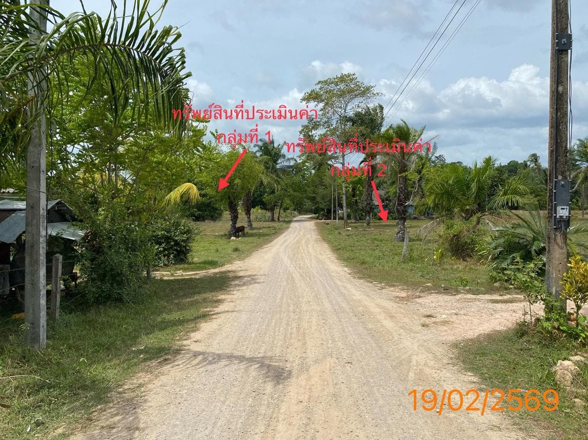 ที่ดินว่างเปล่า เนื้อที่ 47 ตร.ว. ทำเลศักยภาพ เหนือคลอง เหนือคลอง กระบี่