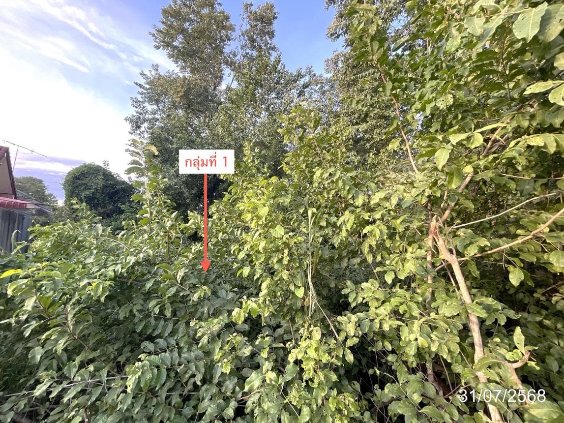 ที่ดินว่างเปล่า เนื้อที่ 71.9 ตร.ว. ทำเลศักยภาพ น้ำซึม เมืองอุทัยธานี อุทัยธานี