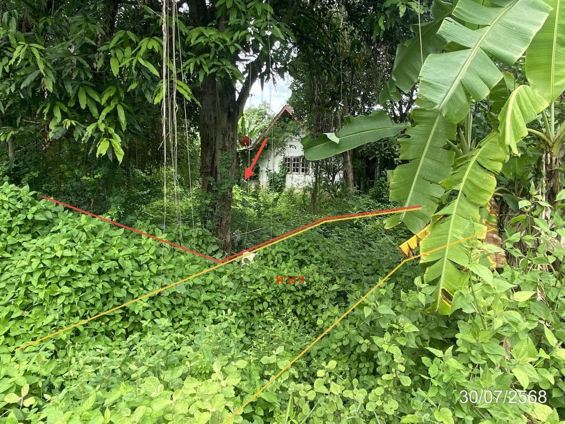 ขายที่ดินเปล่า เชียงยืน มหาสารคาม ทำเลกู่ทอง เนื้อที่ 2 ไร่ ราคาถูก บรรยากาศดี เหมาะทำเกษตรหรือบ้านสวน