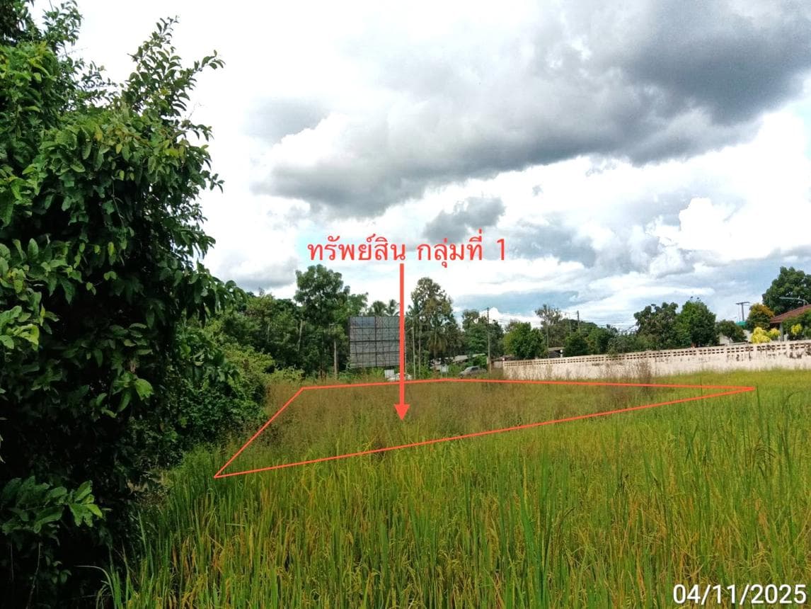 ขายที่ดินเปล่าผืนใหญ่ เมืองแพร่ ทำเลนาจักร เนื้อที่ 30 ไร่ ศักยภาพสูงเหมาะสำหรับโครงการจัดสรรหรือการลงทุน