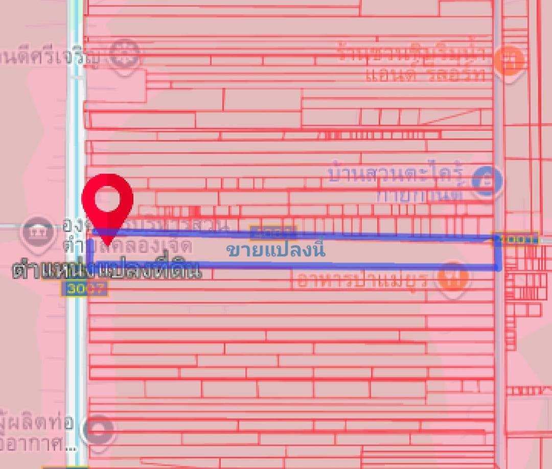 ขายที่ดินริมถนน ปท.4001 หน้าที่ดินยาวขนานถนน 1,100 เมตร (โดยประมาณ) อ.หนองเสือ จ.ปทุมธานี เหมาะกับการลงทุน