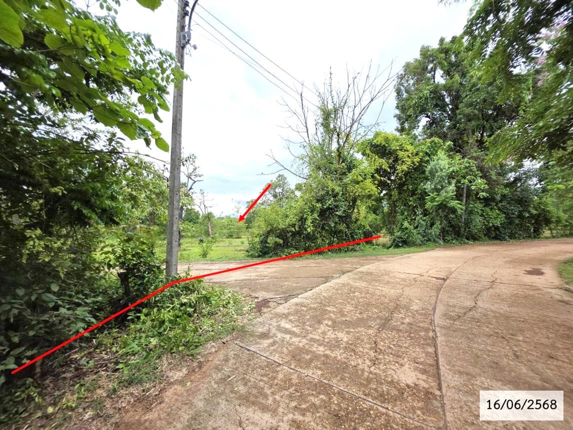 ขายที่ดินเปล่าผืนใหญ่พิเศษ ทำเลทองใจกลางอำเภอกุสุมาลย์ สกลนคร ศักยภาพสูงเหมาะแก่การลงทุนพัฒนา