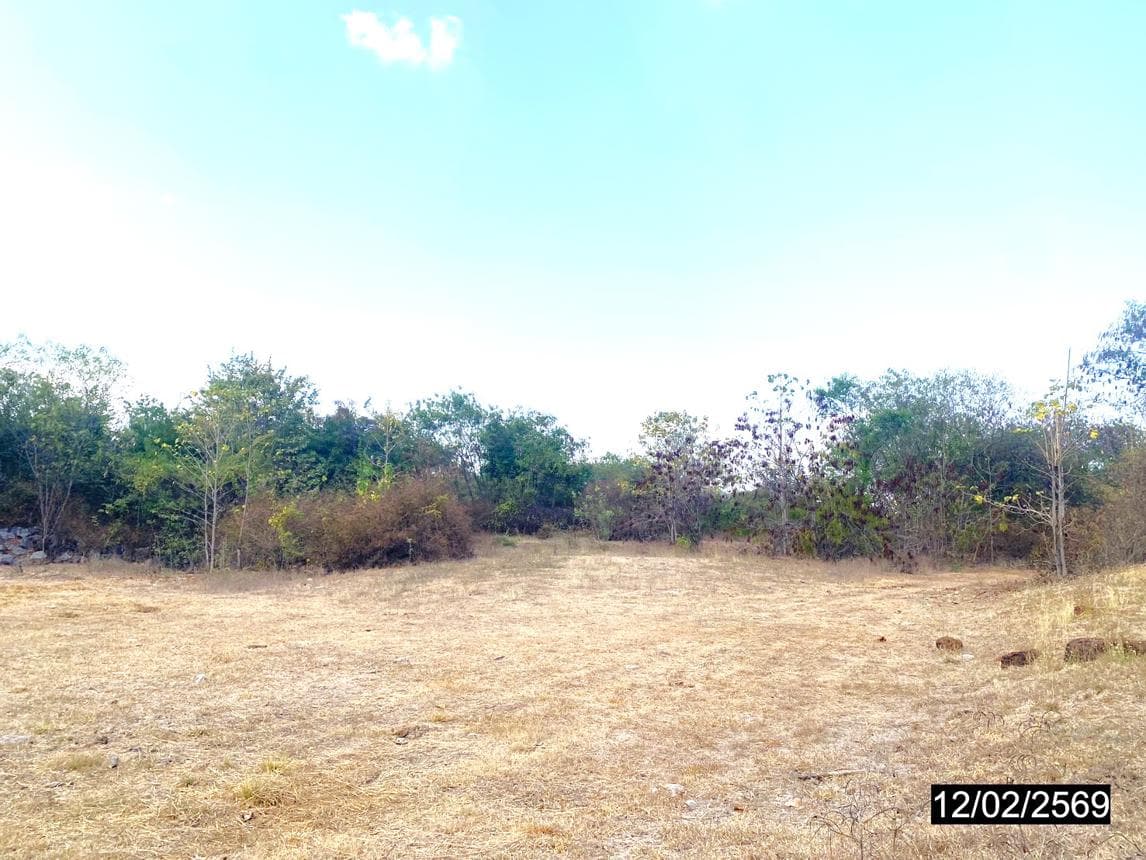 ขายฟาร์มพร้อมบ้าน 3 ห้องนอน พื้นที่ 104 ตร.ม. บนเนื้อที่ 6 ไร่ ทำเลลานหอย สุโขทัย บรรยากาศดี เหมาะทำเกษตรและโฮมสเตย์ ราคา 9.27 ล้าน