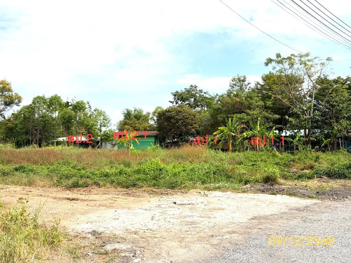 บ้านเดี่ยว โครงการกนกกุล หนองเสือ ปทุมธานี พื้นที่กว้างขวาง บรรยากาศเงียบสงบ เป็นส่วนตัว