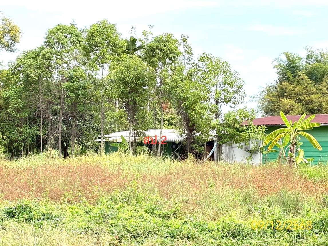 บ้านเดี่ยว โครงการกนกกุล หนองเสือ ปทุมธานี พื้นที่กว้างขวาง บรรยากาศเงียบสงบ เป็นส่วนตัว