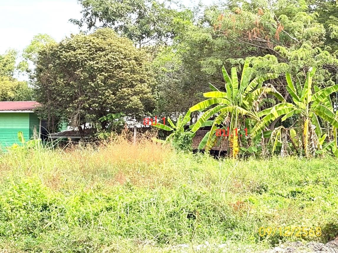 บ้านเดี่ยว โครงการกนกกุล หนองเสือ ปทุมธานี พื้นที่กว้างขวาง บรรยากาศเงียบสงบ เป็นส่วนตัว