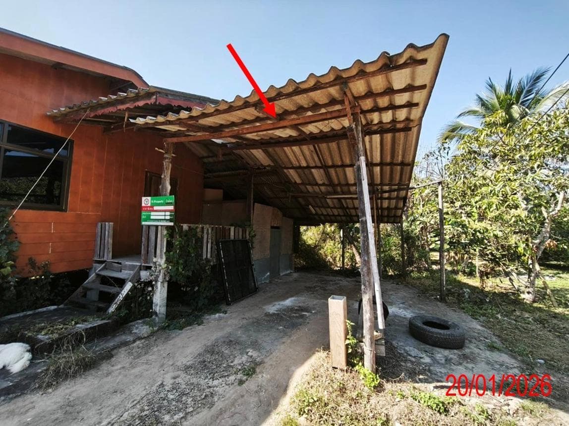 บ้านเดี่ยวทำเลศักยภาพ ป่าสัก เมืองลำพูน พื้นที่กว้างขวาง 3 ห้องนอน