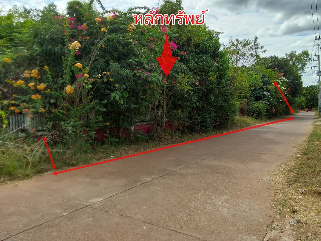 ที่ดินพร้อมสิ่งปลูกสร้าง ศรีวิไล บึงกาฬ