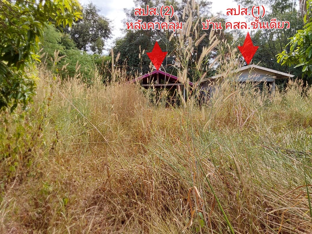 ที่ดินพร้อมสิ่งปลูกสร้าง ศรีวิไล บึงกาฬ