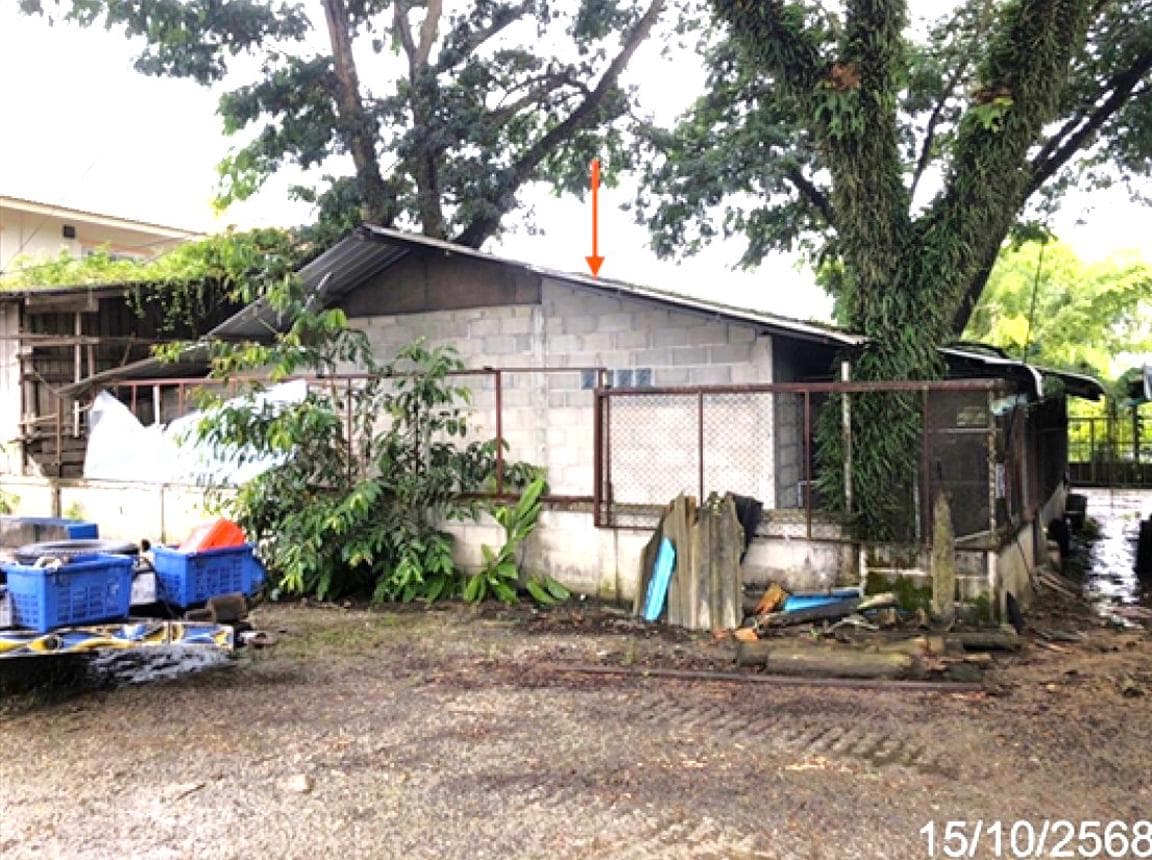ขายบ้านเดี่ยวทำเลศักยภาพ อ.เวียงป่าเป้า เชียงราย พื้นที่กว้างขวาง ตอบโจทย์ทุกการใช้ชีวิต