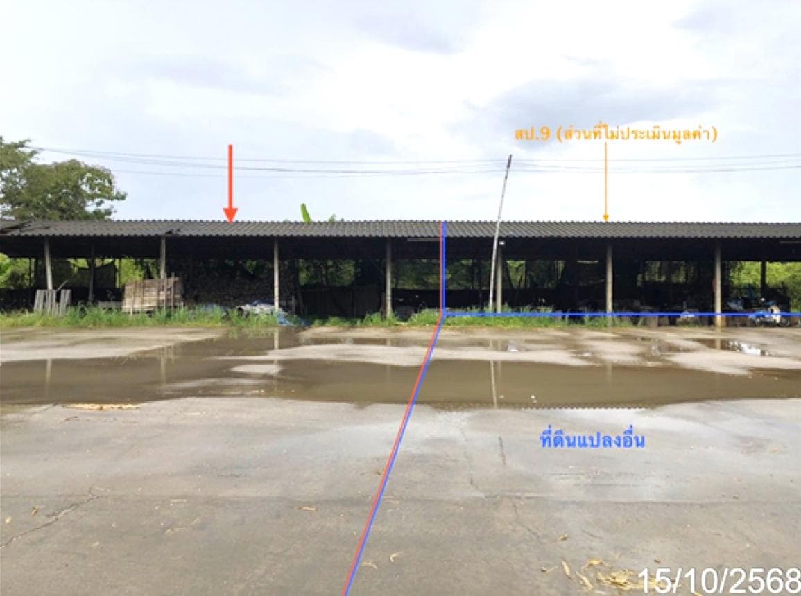 ขายบ้านเดี่ยวทำเลศักยภาพ อ.เวียงป่าเป้า เชียงราย พื้นที่กว้างขวาง ตอบโจทย์ทุกการใช้ชีวิต