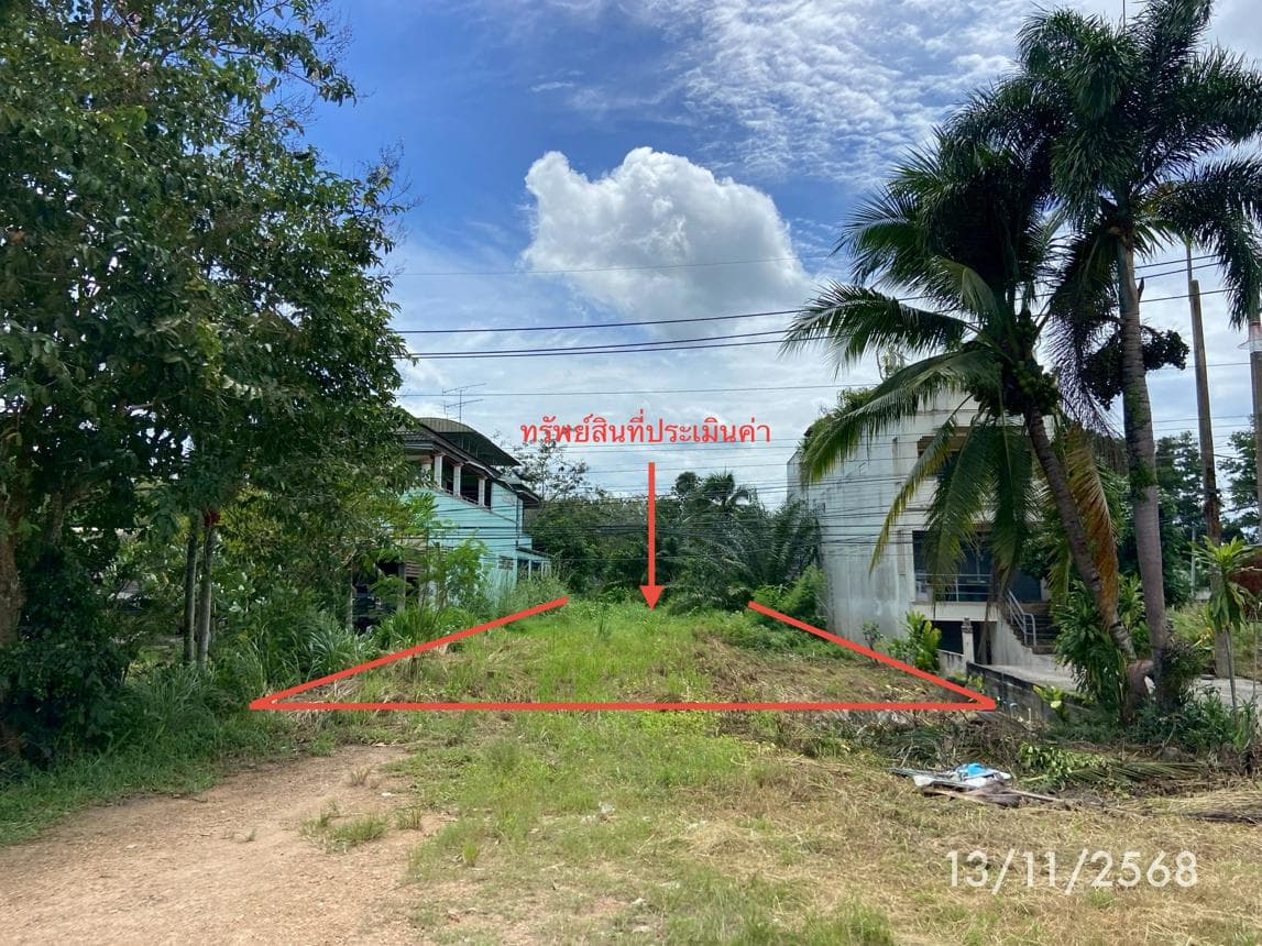 ขายที่ดินว่างเปล่า ลำไพล เทพา สงขลา เนื้อที่ 10 ตร.ว. ทำเลศักยภาพ