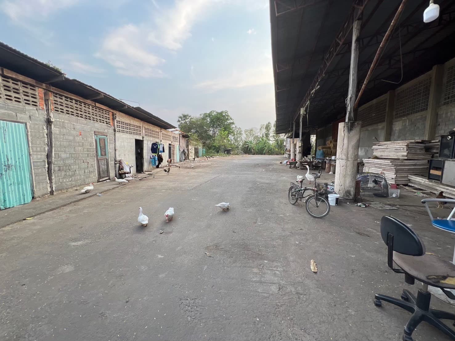 โรงสี เมืองสุรินทร์ สุรินทร์