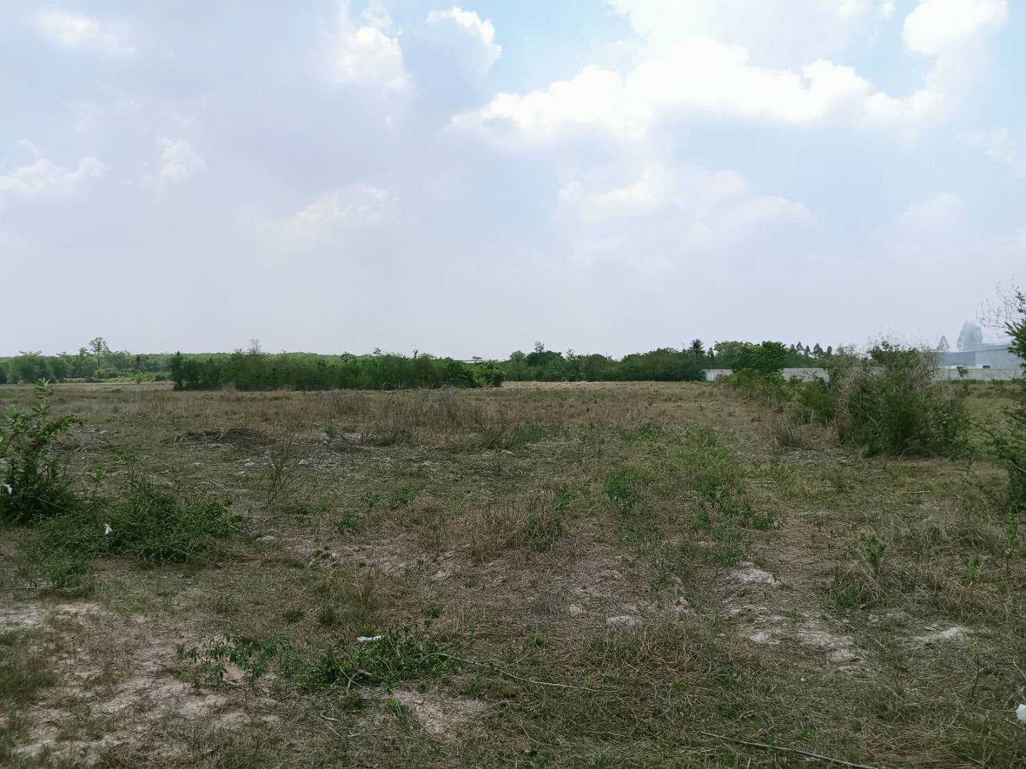 ขายที่ดินผังสีม่วงลาย 26 ไร่ 2 งาน 26 ตร.ว. ใกล้นิคม Apex Green ฉะเชิงเทรา