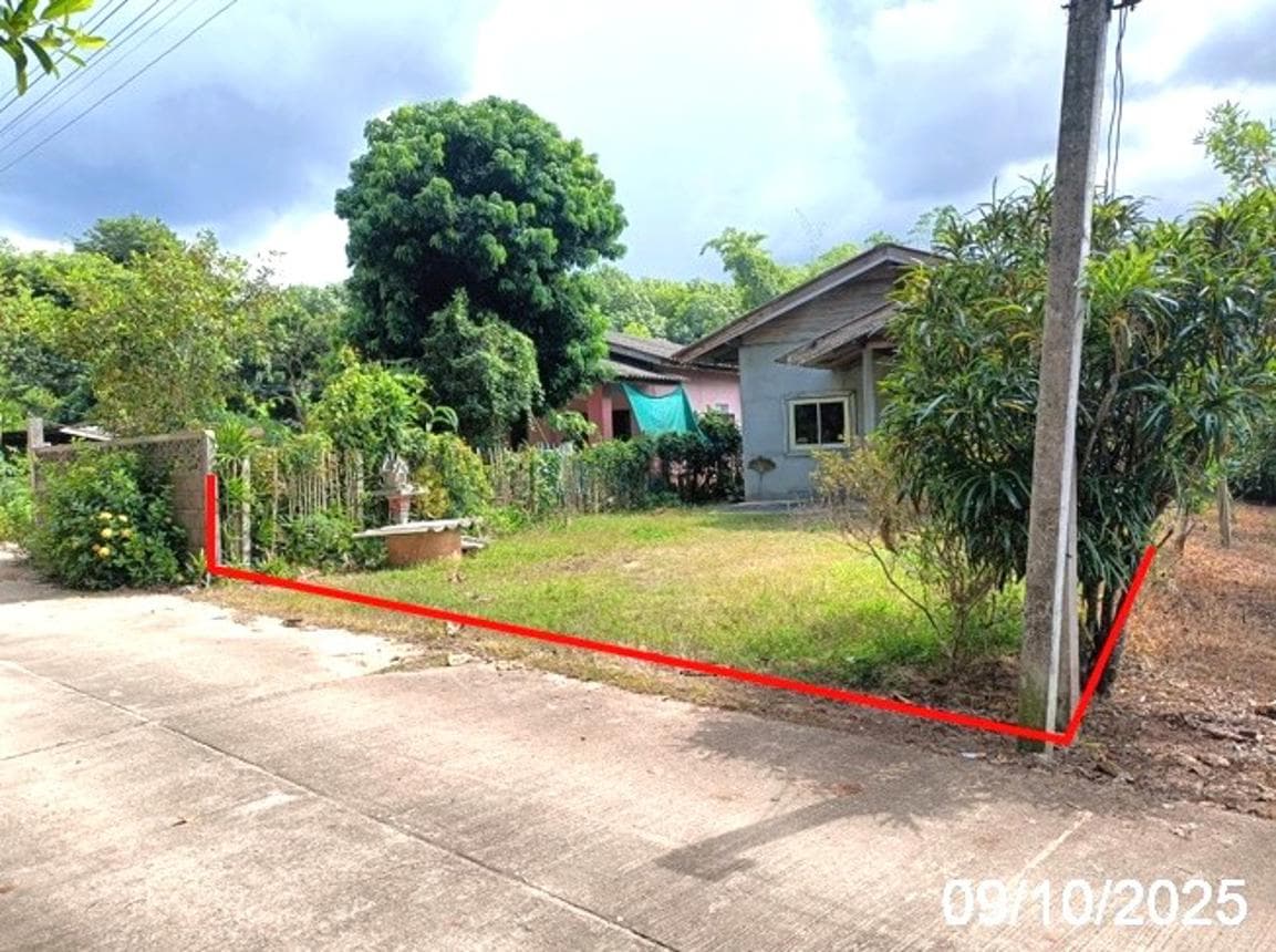 ขายบ้านเดี่ยว สันต้นหมื้อ แม่อาย เชียงใหม่ พื้นที่ 87 ตร.ว. 1 ห้องนอน 1 ห้องน้ำ