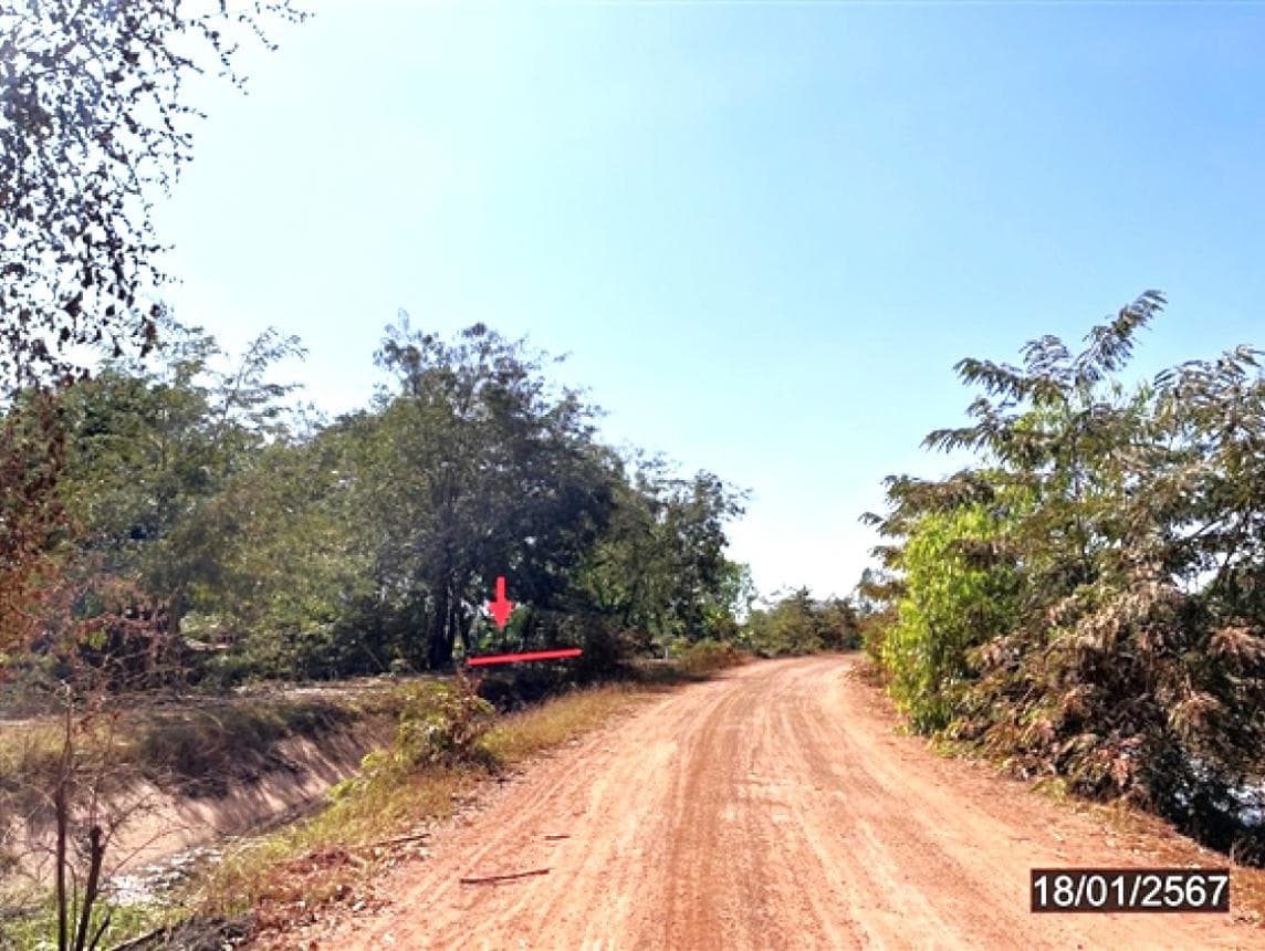 ขายที่ดิน เชียงเพ็ง กุดจับ อุดรธานี ขนาด 97 ตร.ว. ราคาไม่ถึงล้าน พื้นที่กว้างสร้างบ้านสบาย