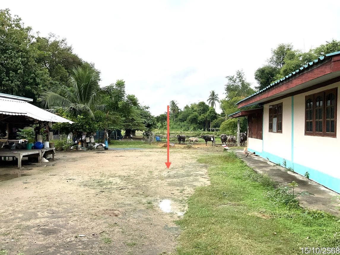 บ้านเดี่ยว 3 ห้องนอน พื้นที่ 164 ตร.ม. ทำเลศักยภาพ สระแก้ว ลาดยาว นครสวรรค์