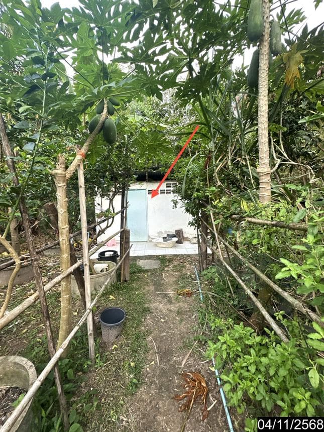 บ้านเดี่ยว หนองแวง นิคมคำสร้อย มุกดาหาร 2 ห้องนอน พื้นที่ใช้สอยกว้างขวาง 185 ตร.ม. บนที่ดิน 48 ตร.ว. บรรยากาศสงบ ราคาคุ้มค่า