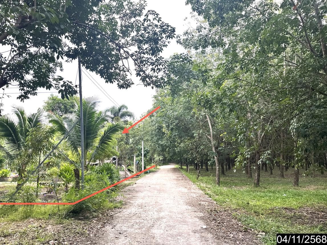 บ้านเดี่ยว หนองแวง นิคมคำสร้อย มุกดาหาร 2 ห้องนอน พื้นที่ใช้สอยกว้างขวาง 185 ตร.ม. บนที่ดิน 48 ตร.ว. บรรยากาศสงบ ราคาคุ้มค่า