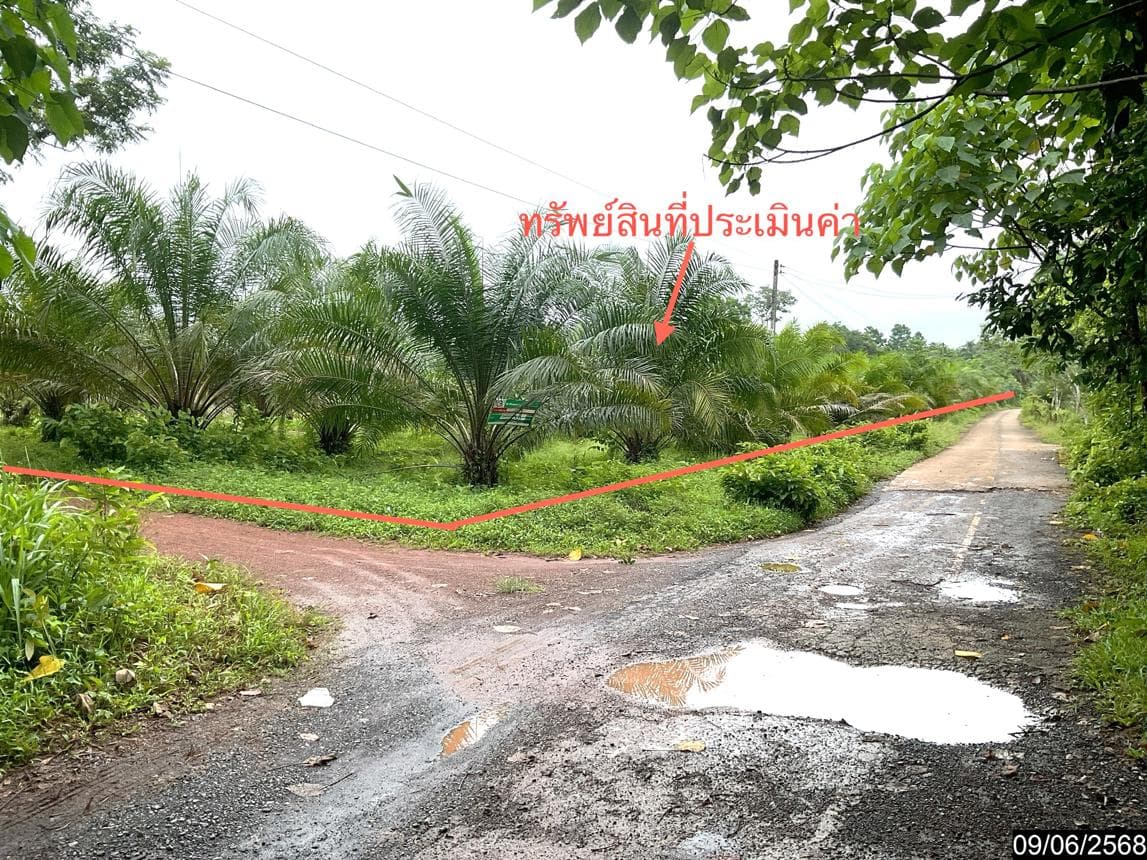 ขายที่ดินว่างเปล่า เขาโร ทุ่งสง นครศรีธรรมราช พื้นที่ 86 ตร.ว. ทำเลสวยเหมาะสร้างบ้านหรือลงทุน