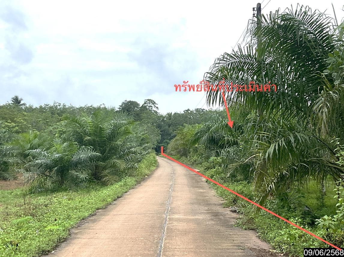 ขายที่ดินว่างเปล่า เขาโร ทุ่งสง นครศรีธรรมราช พื้นที่ 86 ตร.ว. ทำเลสวยเหมาะสร้างบ้านหรือลงทุน