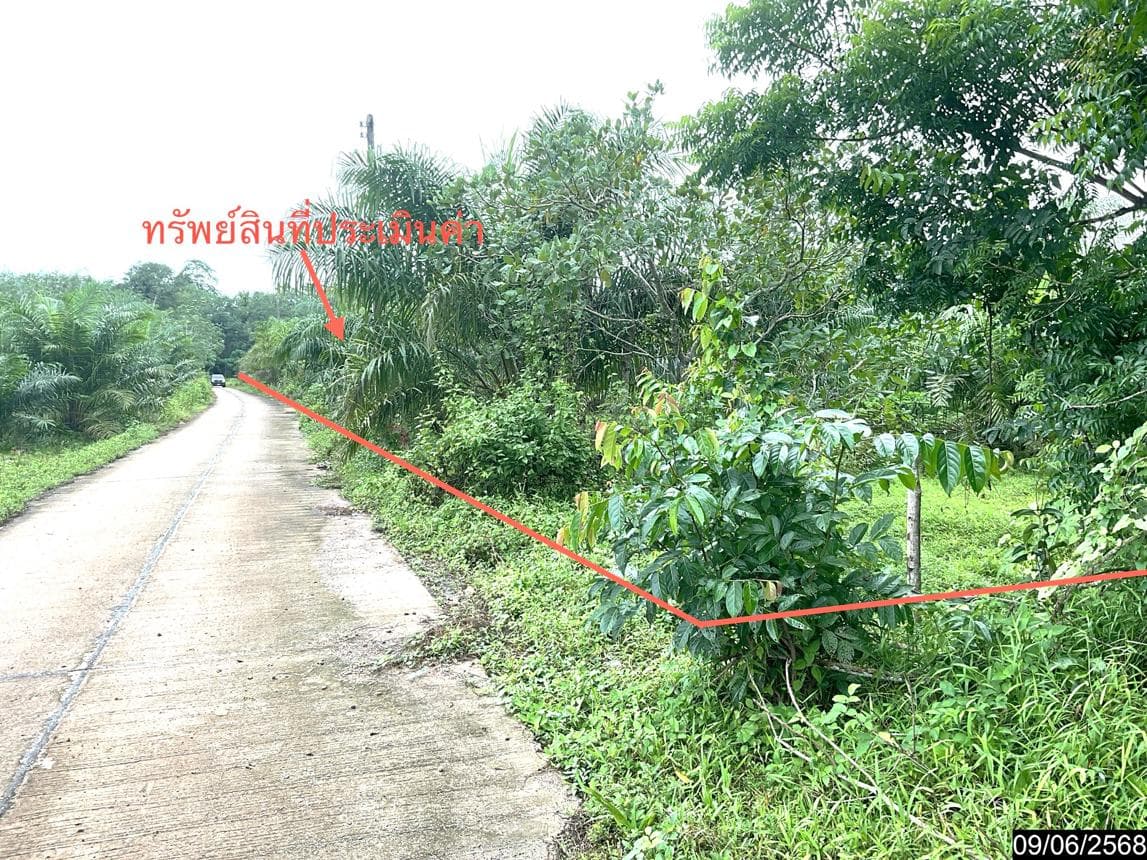 ขายที่ดินว่างเปล่า เขาโร ทุ่งสง นครศรีธรรมราช พื้นที่ 86 ตร.ว. ทำเลสวยเหมาะสร้างบ้านหรือลงทุน