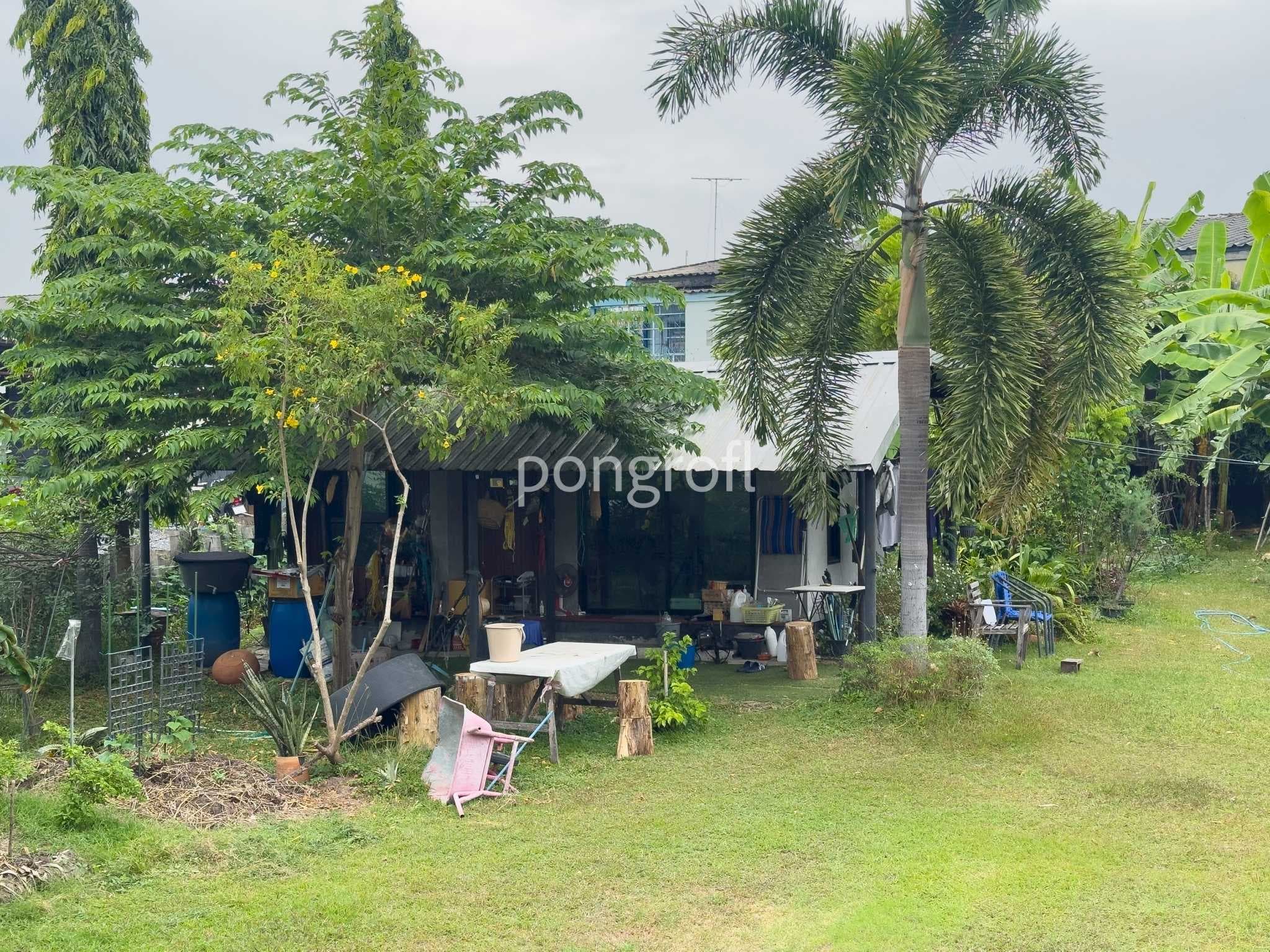 ที่ดิน 198 ตรว. ถมแล้วแปลงสวย รามอินทรา–สุขาภิบาล 5 | เข้า–ออกได้หลายเส้นทาง ที่ดินทำเลดี รามอินทรา กม.4 – สุขาภิบาล 5 ซ.5 แยก 10