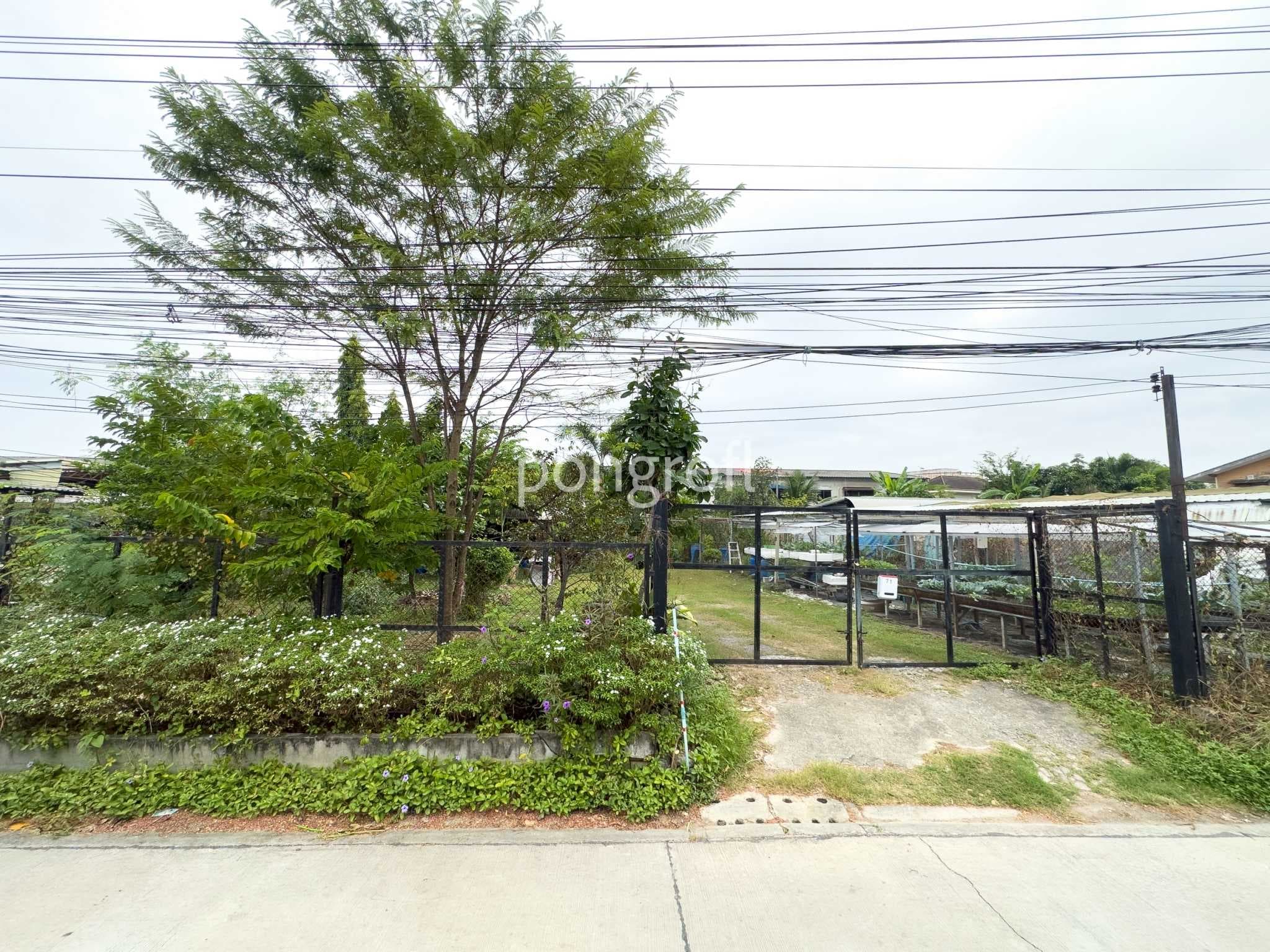 ที่ดิน 198 ตรว. ถมแล้วแปลงสวย รามอินทรา–สุขาภิบาล 5 | เข้า–ออกได้หลายเส้นทาง ที่ดินทำเลดี รามอินทรา กม.4 – สุขาภิบาล 5 ซ.5 แยก 10