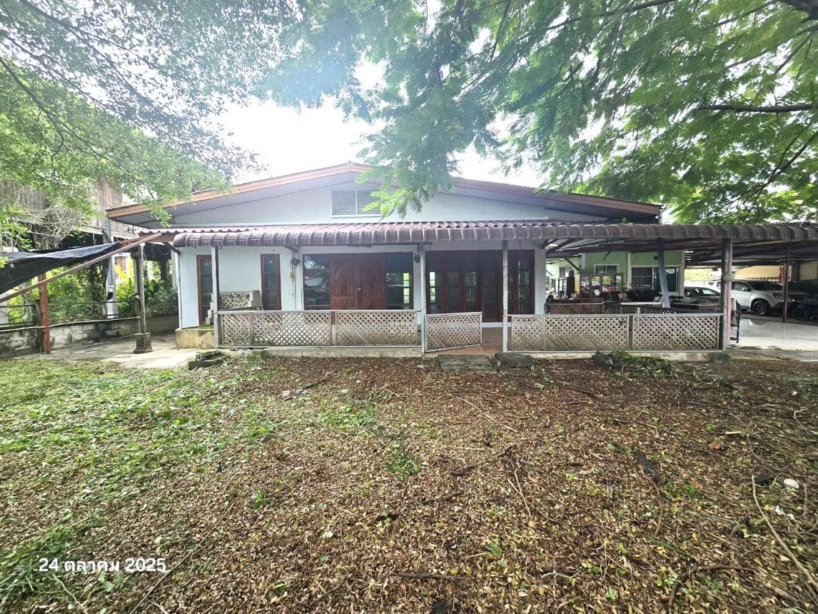 ขายบ้านเดี่ยว วังทอง พิษณุโลก 3 ห้องนอน 2 ห้องน้ำ พื้นที่ 163.5 ตร.ม. บนเนื้อที่ 1 ไร่ ทำเลดีบรรยากาศธรรมชาติใกล้แหล่งชุมชนนั่นเอง