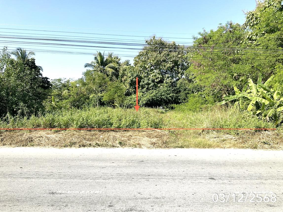 ขายที่ดินเปล่า เชียงของ เชียงราย ทำเลครึ่ง เนื้อที่ 23.8 ตร.ว. เหมาะสำหรับสร้างที่อยู่อาศัยและลงทุน