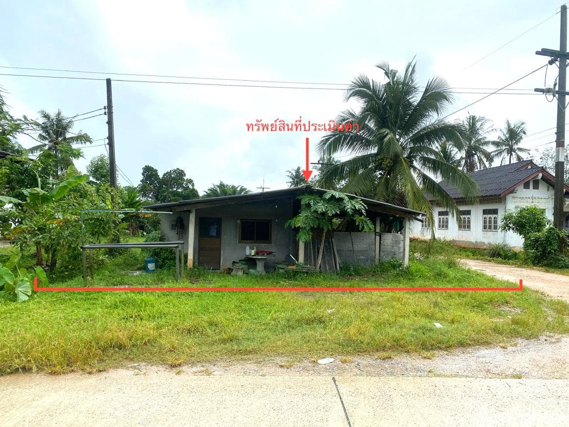 บ้านเดี่ยว โคกสัก บางแก้ว พัทลุง บนที่ดิน 43 ตร.ว. บรรยากาศสงบ ทำเลดี ราคาคุ้มค่า